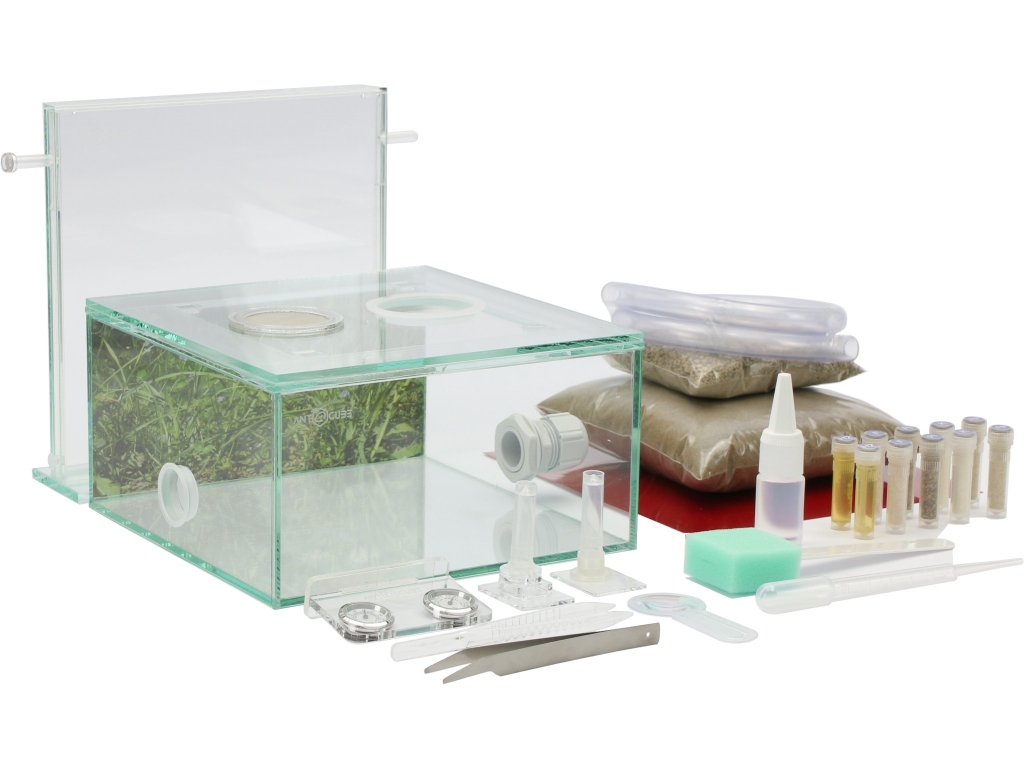 ANTCUBE Starter Kit S - 20x20 - Meadow